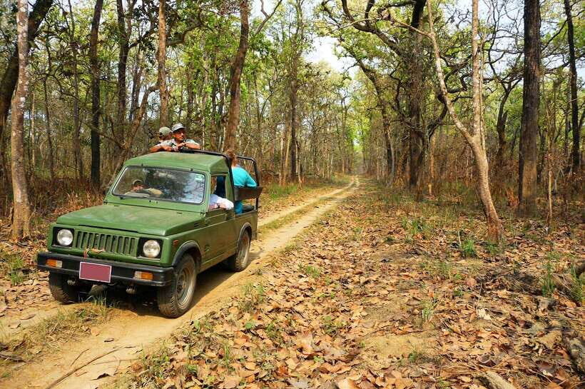 From Kathmandu/Pokhara: 2, 3, or 4-Day Chitwan Jungle Safari - Key highlights that make this Chitwan trip worth it