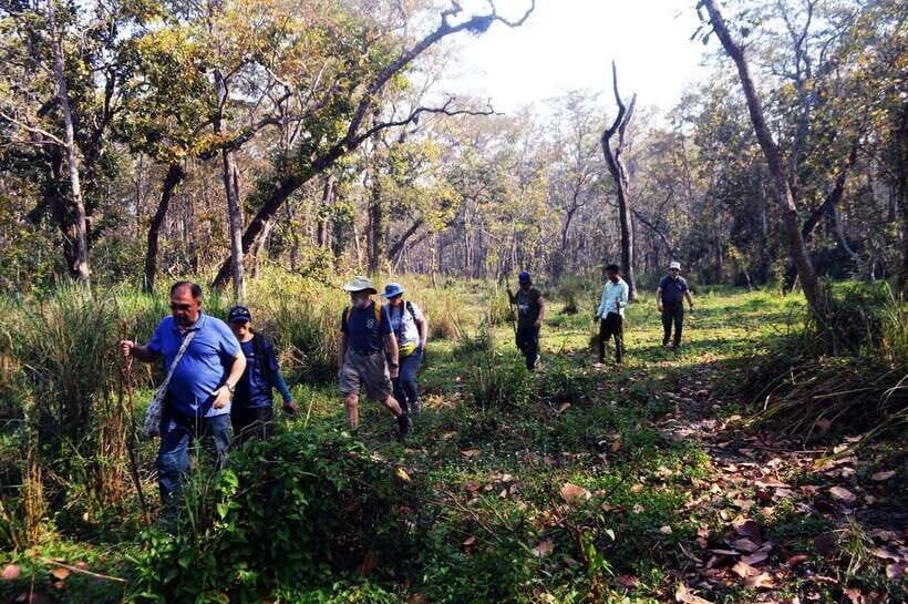 From Kathmandu/Pokhara: 2, 3, or 4-Day Chitwan Jungle Safari - Day 1: Arrival rhythm with Tharu village culture and sunset