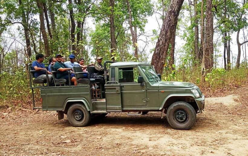 From Kathmandu/Pokhara: 2, 3, or 4-Day Chitwan Jungle Safari - Jungle walk and canoe on the Rapti River: slow moments that pay off