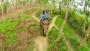 From Kathmandu/Pokhara: 3-Day All-Inclusive Chitwan Safari - Day 2 morning: Rapti River canoe ride (go quiet and scan)