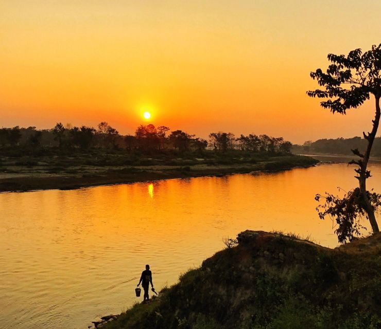 From Kathmandu/Pokhara: 3-Day All-Inclusive Chitwan Safari - Elephant breeding center: conservation learning with an ethics question