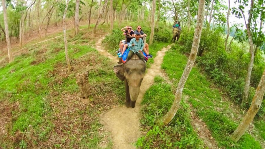 From Kathmandu/Pokhara: 3-Day All-Inclusive Chitwan Safari - Day 2 morning: Rapti River canoe ride (go quiet and scan)