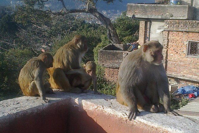 Full Day Kathmandu City Sightseeing Tour of UNESCO Heritage Sites - Should you book this Kathmandu UNESCO tour?