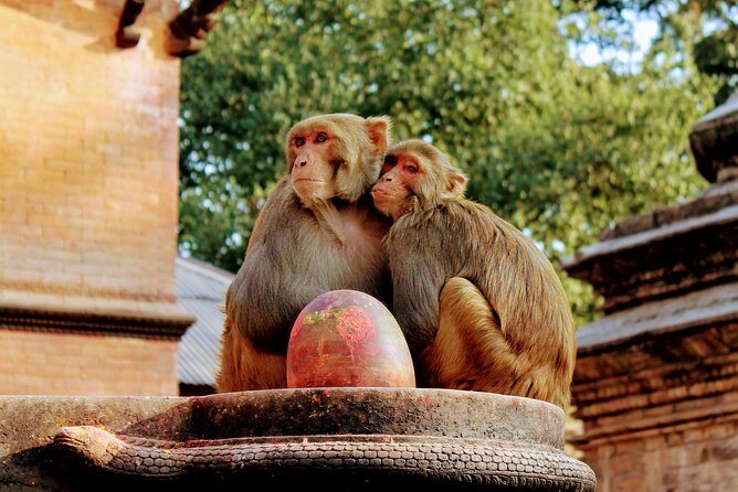 Full Day Private Tour of Kathmandu - UNESCO World Heritage Sites - Kathmandu Durbar Square: the palace-era heart of the city