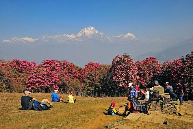 Ghorepani Poon Hill Trek - Day 2: From Nayapul/Birethanti into Ulleri-style uphill
