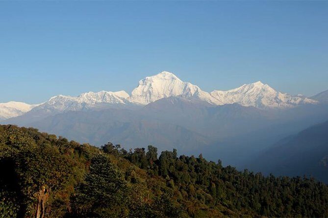 Ghorepani Poon Hill Trek - Guides, group size, and pacing that fits real people