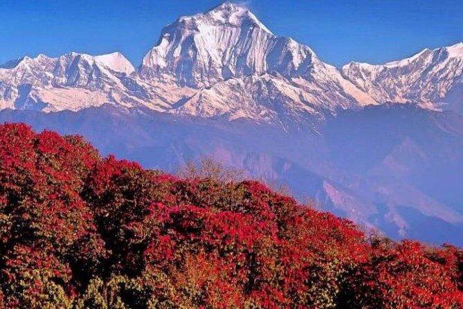 Ghorepani Poonhill Trek -8 Days - Getting to Kathmandu First: Temples, Oxygen Levels, and Sanity