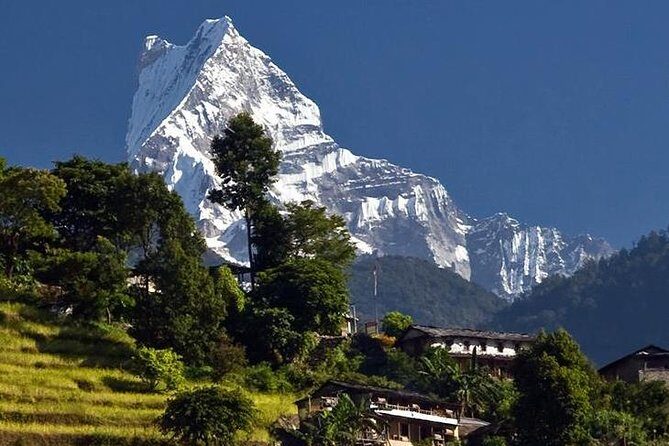 Ghorepani Poonhill Trek -8 Days - Poon Hill at Dawn: The Moment You Actually Plan Your Whole Trip Around