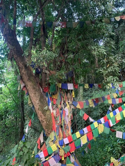 Healing Day tour - Shaman Healing - How Shamanism Explains Stress, Fear, Sleep Problems, and Relationships