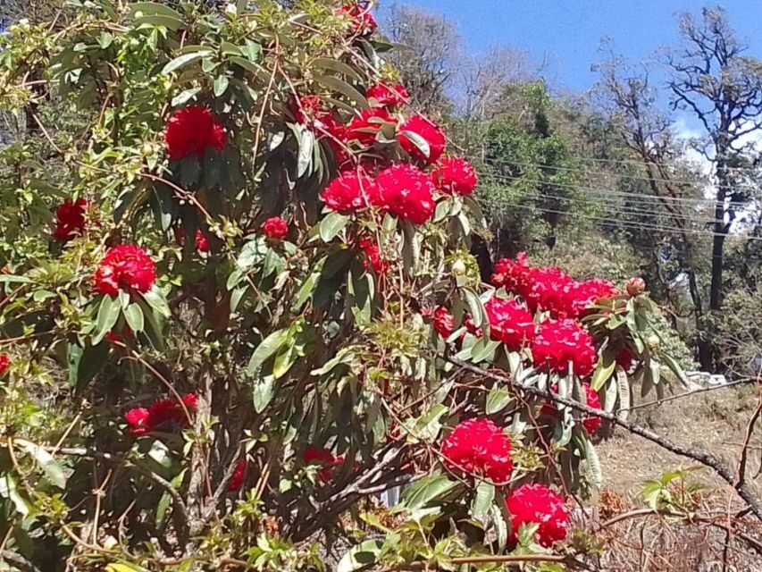 Kathmandu: 10-Day Adventurous Annapurna Circuit Trek - Day 1: Kathmandu to Besisahar to Dharapani (10 hours of travel)