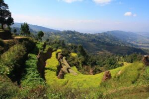Kathmandu: 2 Nights 3 Days Chisapani Nagarkot Trek - Day 2: Forest Up, Village Down, Then Nagarkot for View Tower Panoramas