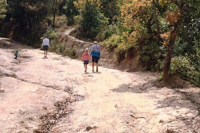 Kathmandu: 2 Nights 3 Days Chisapani Nagarkot Trek - Who This Trek Suits Best (and Who Might Want a Different Fit)