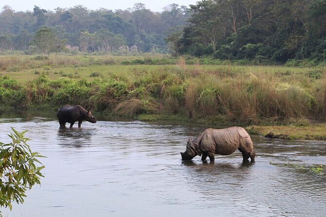 Kathmandu 2 Nights 3 Days Chitwan Jungle Safari Tour - Kathmandu to Chitwan: the 6:30 am start and why it matters