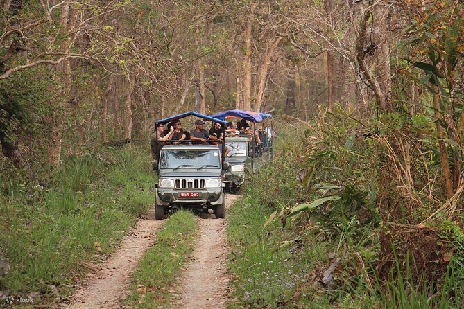 Kathmandu 2 Nights 3 Days Chitwan Jungle Safari Tour - Tharu village and dance performance: culture you can actually see