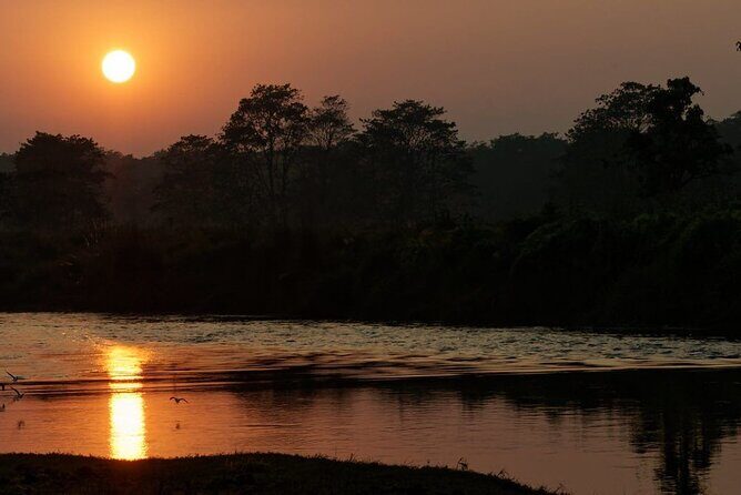 Kathmandu 2 Nights 3 Days Chitwan Jungle Safari Tour - Who this tour fits best (and who should think twice)