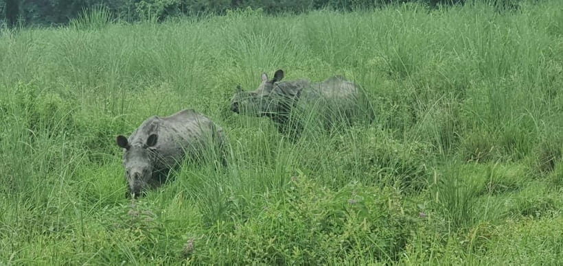 Kathmandu: 3-Day Chitwan Safari Tour with Hotel Transfers - Safari Adventure Lodge or Hotel Park land: where you’ll rest after jungle days