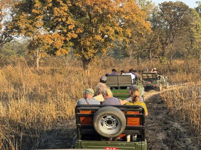 Kathmandu: 3-Day Chitwan Safari Tour with Hotel Transfers - Who this Chitwan safari suits best