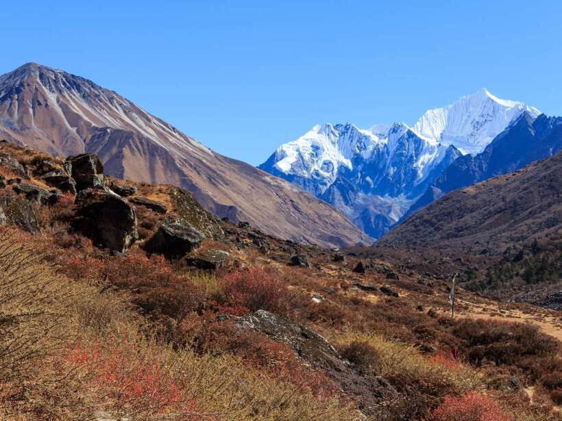 Kathmandu: 6 Days Langtang Valley Trek with Kyanjin Ri - Key highlights I’d plan around