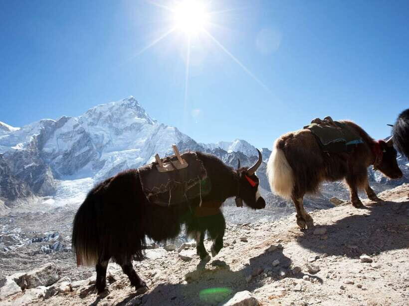 Kathmandu: 6 Days Langtang Valley Trek with Kyanjin Ri - From Kathmandu to Syabrubesi: the mountain gateway setup