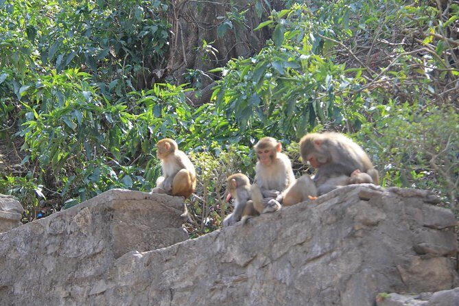 Kathmandu Day Tour - Timing and transport: the hidden value in Kathmandu
