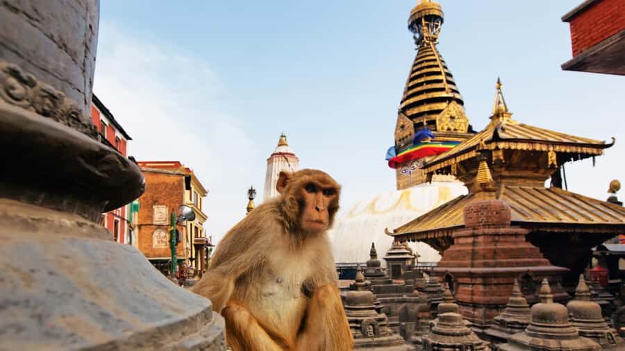 Kathmandu: Full-Day Budget Bus Tour of Kathmandu Valley - Key Points to Know Before You Go