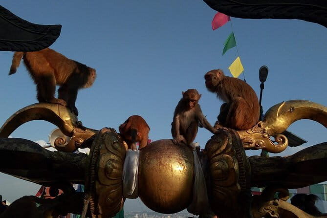 Kathmandu Heritage Tour (Full Day) - Price and logistics: what $38.66 covers and what you’ll add