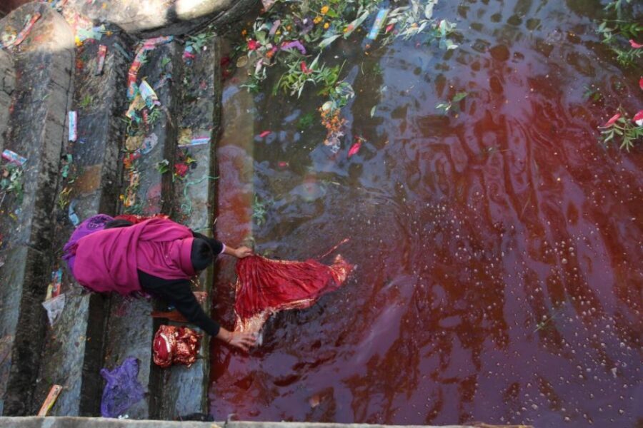 Kathmandu: Pharping, Dakshinkali and Chobhar Tour with Lunch - Taudaha Lake: a bird sanctuary reset between temples