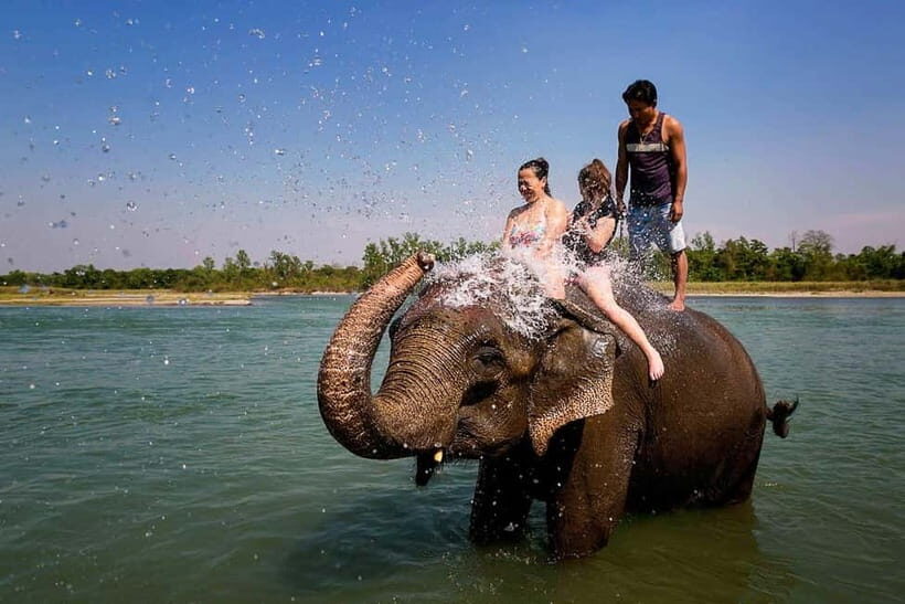 Kathmandu/Pokhara: 3 Day Chitwan Jungle Safari Tour - Lodging and meals: what to expect from the jungle resort style