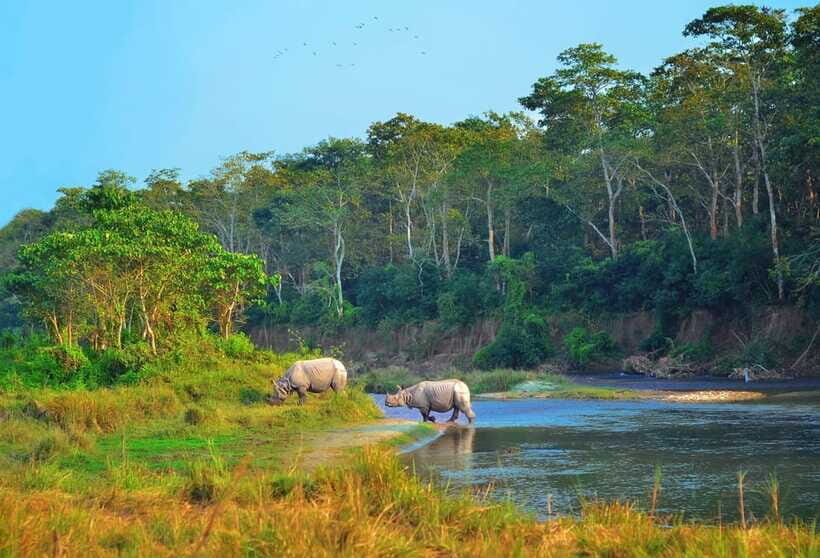 Kathmandu/Pokhara: 3 Day Chitwan Jungle Safari Tour - Value check: is $129 per person fair for this Chitwan package?
