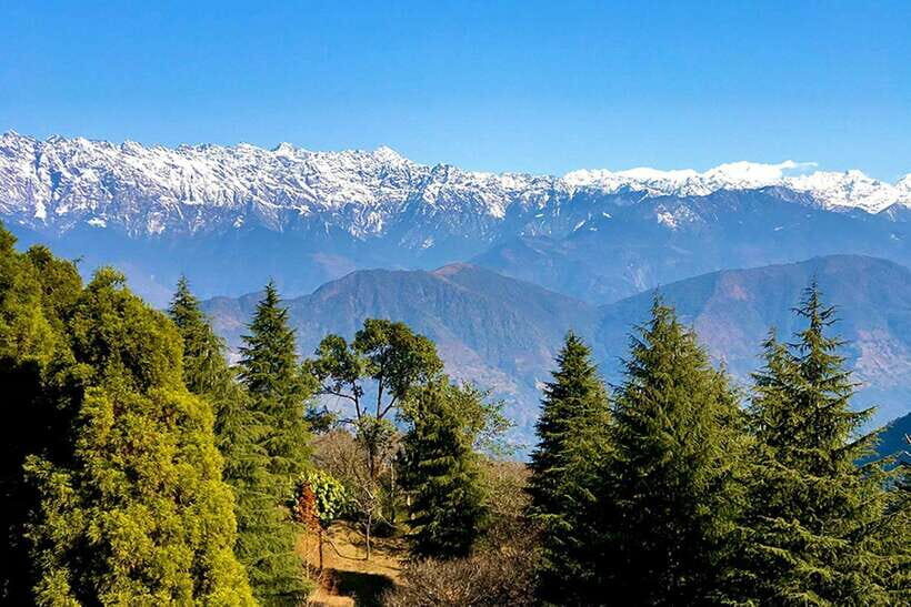 Kathmandu: Shivapuri Day Hike with Lunch - A fast escape from Kathmandu, with real mountain payoff