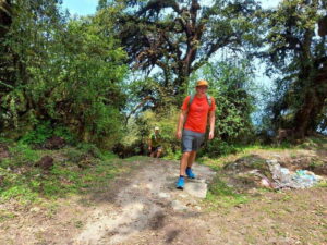 Kathmandu: Shivapuri Day Hike with Lunch - How the day is paced (and why it matters)