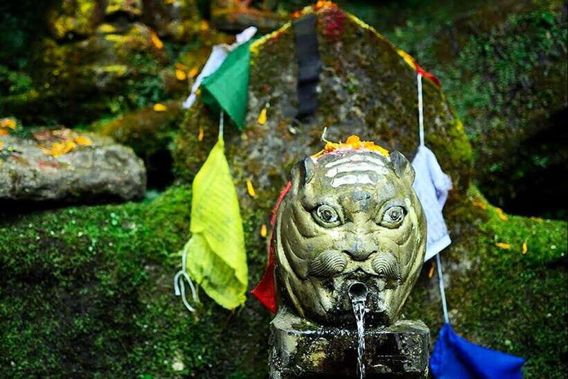 Kathmandu: Shivapuri Day Hike with Lunch - Trail route: forests, steps, and the Bagmati connection at Baghdwar
