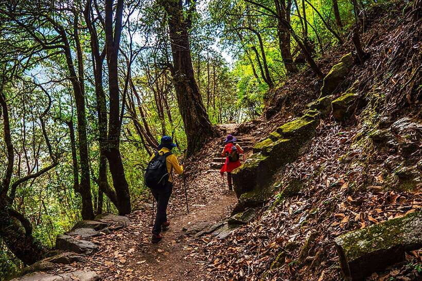 Kathmandu: Shivapuri Day Hike with Lunch - The summit and Kathmandu Valley views: go for clear skies