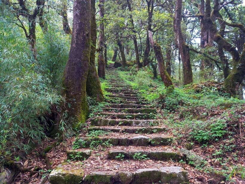 Kathmandu: Shivapuri Day Hike with Lunch - Should you book the Kathmandu Shivapuri day hike?