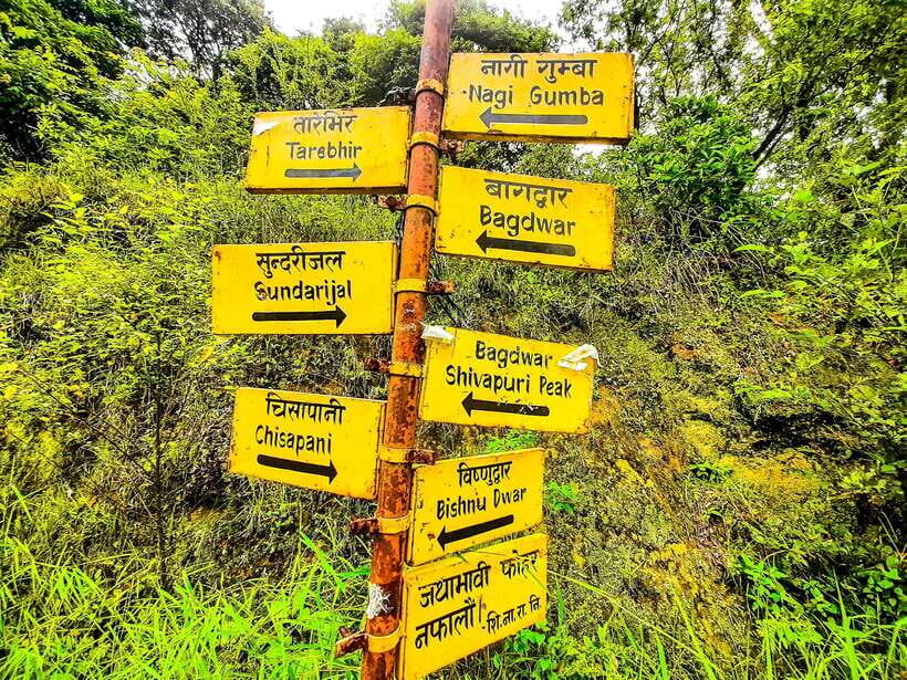 Kathmandu: Shivapuri Hill Day Hike with Lunch box - Key things to know before you go
