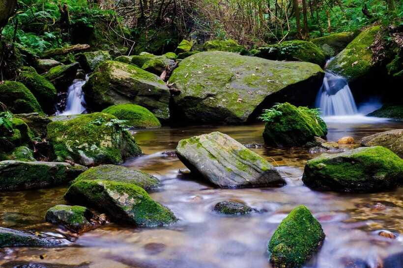 Kathmandu: Shivapuri Hill Day Hike with Lunch box - Lunch box strategy: refuel without killing your momentum