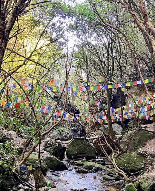 Kathmandu: Shivapuri Hill Day Hike with Lunch box - Guides and pacing: why the human factor changes everything