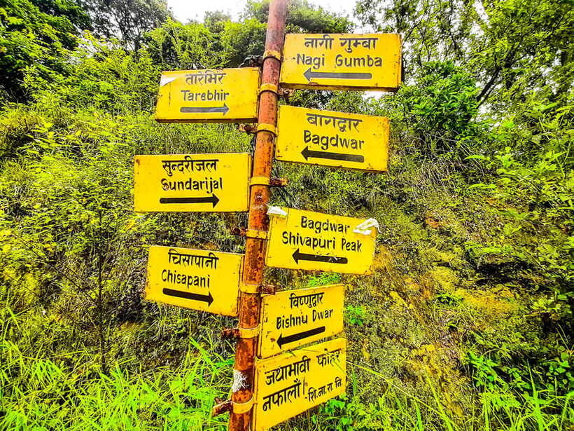 Kathmandu: Shivapuri Hill Day Hike with Lunch box - What to bring (and what to skip) for comfort and park rules