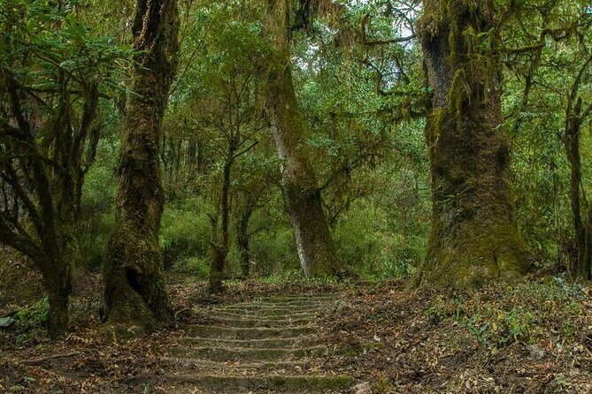 Kathmandu Shivapuri National Park and Nagarkot Hiking - 3 Days - Why Shivapuri and Nagarkot make sense for 3 days