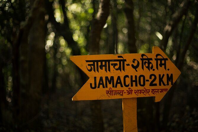 Kathmandu Shivapuri National Park and Nagarkot Hiking - 3 Days - Who this trek is best for