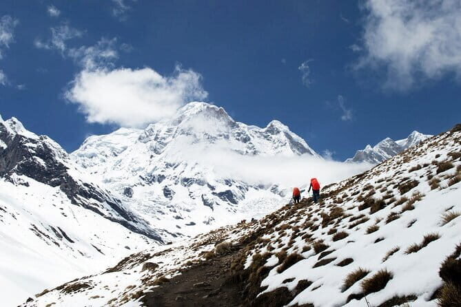 Kathmandu to Annapurna Base Camp (ABC) 5-Day Trek - Day 5 Jhinu Danda hot springs, then drive back to Pokhara