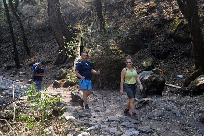 Kathmandu to Langtang Valley 7-Day Trek - Key highlights you’ll actually feel on the trail