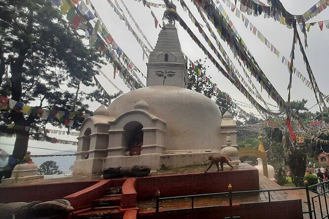 Kathmandu Top 4 or 2 UNESCO World Heritage Sites Day Tour - Price and Entrance Fees: What the $40 Covers