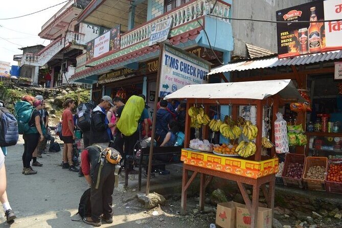 Kathmandu Walking Tour - Pace, Comfort, and Weather: How to Have a Smooth Half-Day Walk