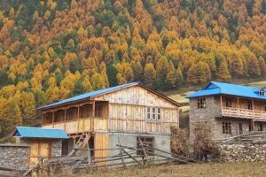 Manaslu Circuit Trek (15 Days) - Kathmandu start in Thamel: quick, practical, and permit-focused