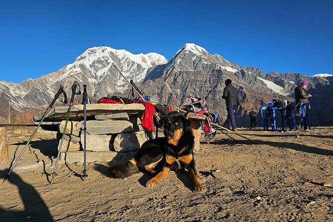Mardi Himal Trek - Mardi Base Camp: the 4500m push that turns into emotion