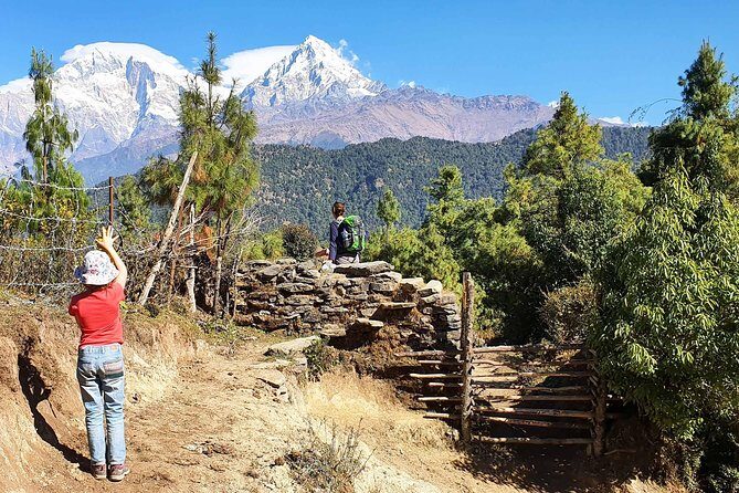 Mohare Danda Trek - Day 5–6: From Nagi to Mohare Danda, Where Sunrise Takes Center Stage