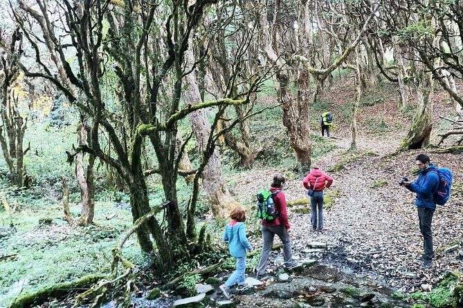 Mohare Danda Trek - Meals, Sleeping Gear, and What $799 Really Covers