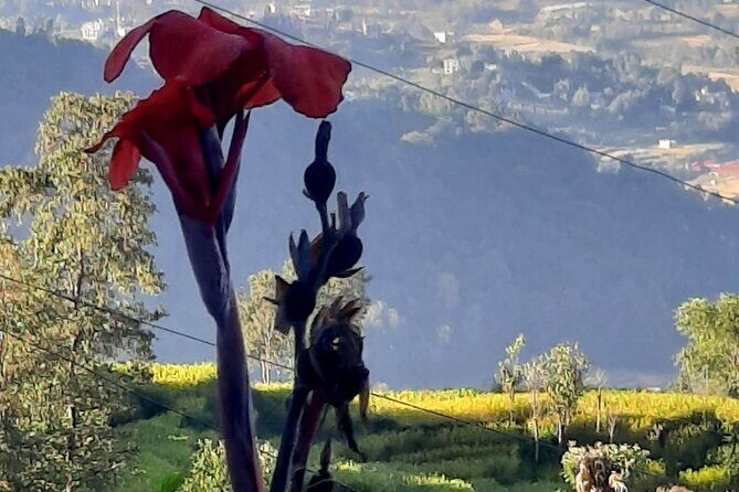 Nagarkot (2175m) Sunrise and Day Hike to Changunarayan Temple - The Trail Down: Panoramic Views and Village Walking