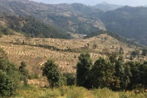 Nagarkot Full-Day Hiking Tour from Kathmandu - Changu Narayan Temple: the UNESCO warm-up stop